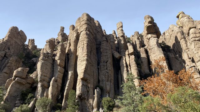 Organ pipe formation